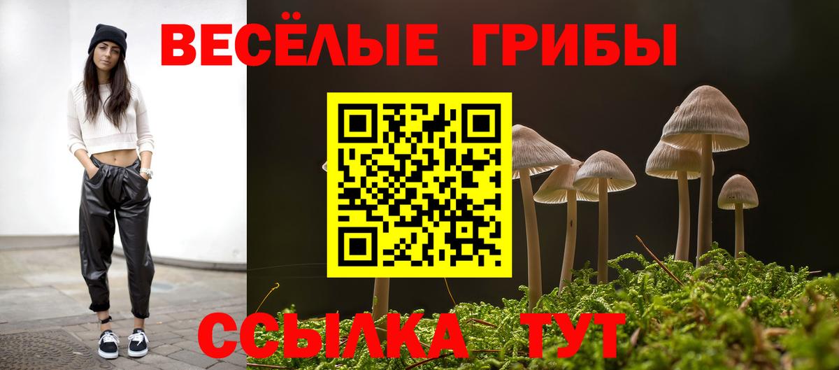 Псилоцибиновые грибы MAGIC MUSHROOMS Владимир